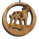 Pet Id Tag