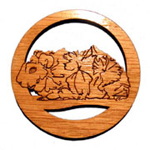 Guinea Pig Gifts