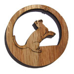 Pet Id Tag